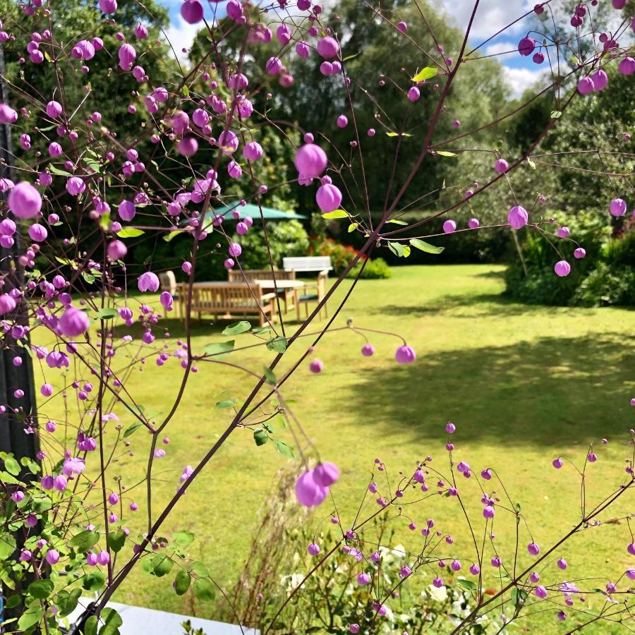 ספין ברידג' Distant Hills Guest House מראה חיצוני תמונה